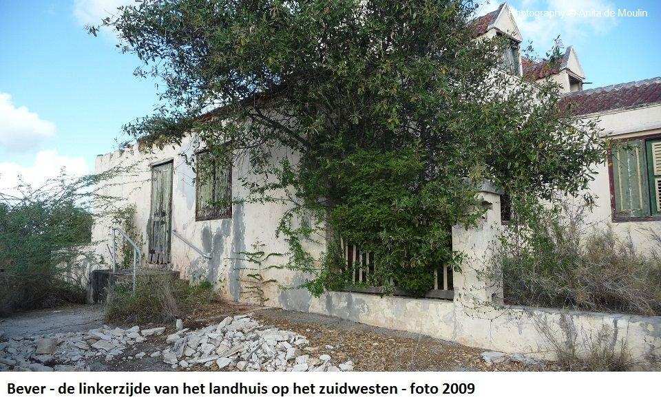 18. Bever linkerzijde op het zuidwesten 2009